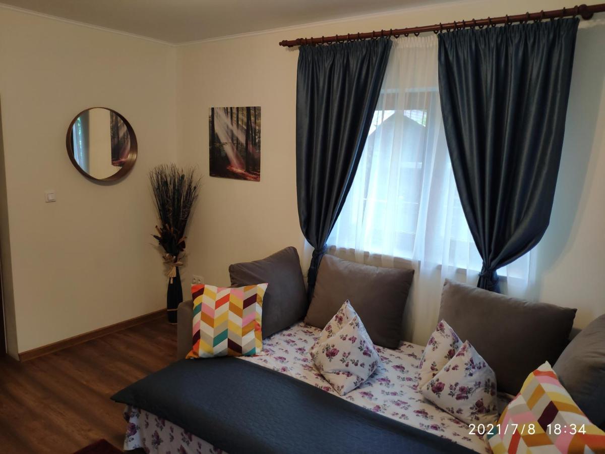 Cozy House Sinaia Villa ภายนอก รูปภาพ